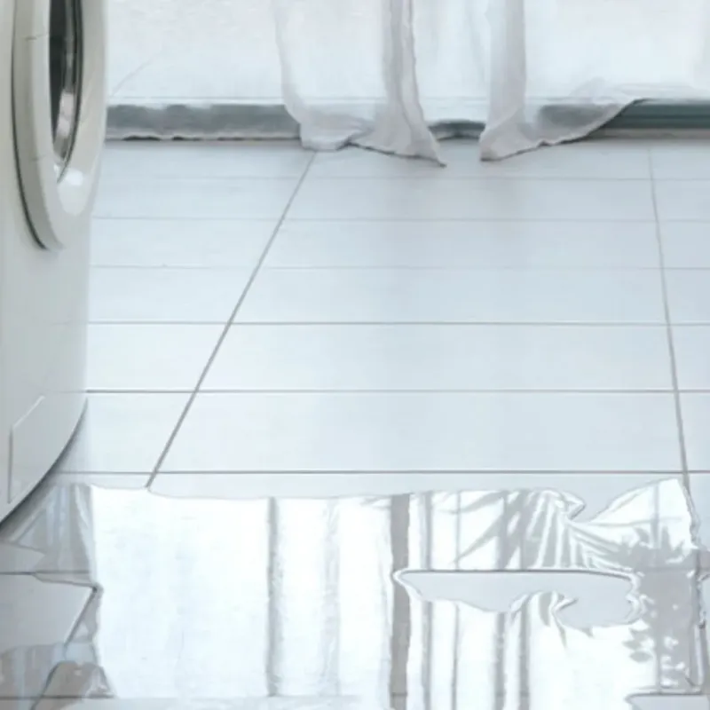 Appliance Leak Cleanup in Indian River County, FL